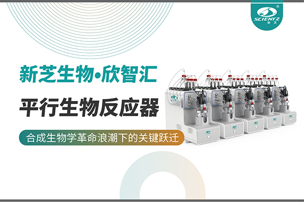 培養(yǎng)菌株和評估工藝參數(shù)影響太難太慢？平行生物反應器提供關(guān)鍵解決方案！