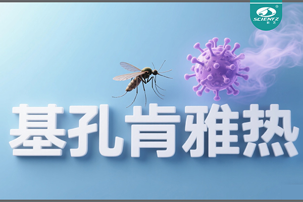 基孔肯雅熱疫情升級！新芝生物硬核技術(shù)助力病毒精準(zhǔn)診斷