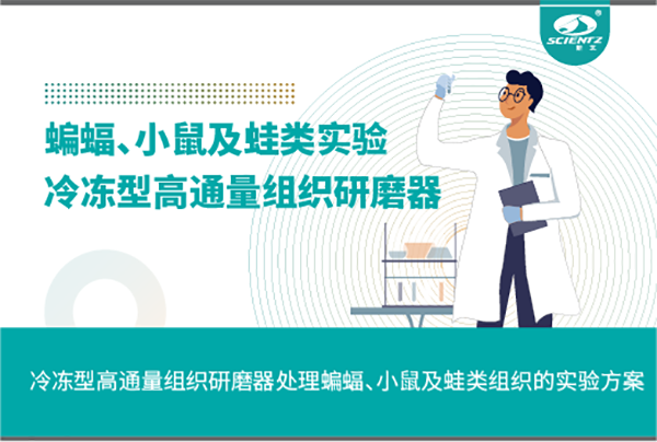 冷凍型高通量組織研磨器處理蝙蝠、小鼠及蛙類組織的實驗方案